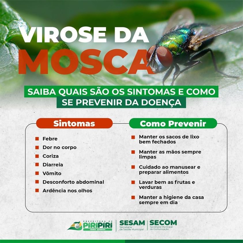 Virose da Mosca Saiba quais são os sintomas e como se prevenir da